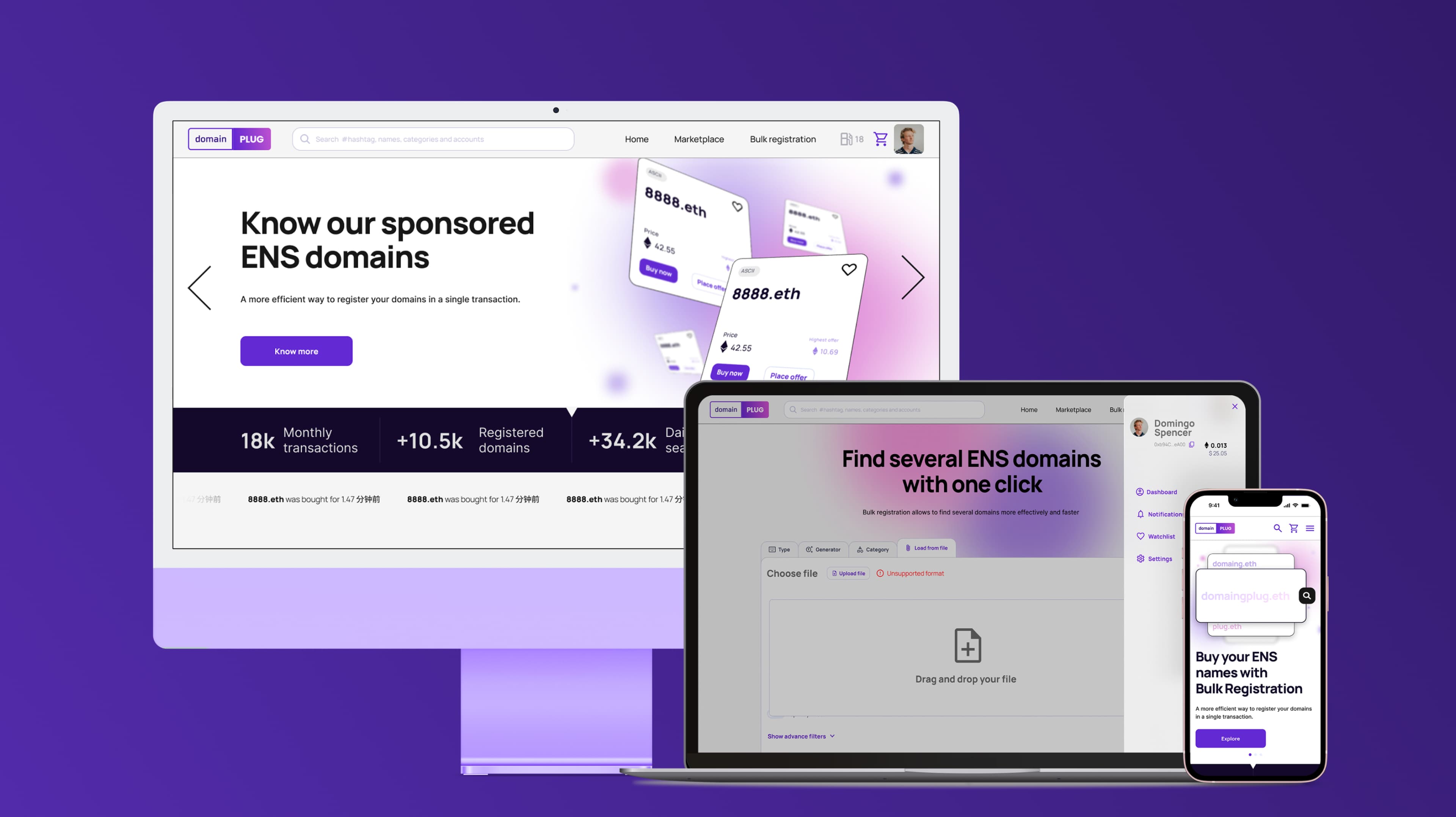 DomainPlug prototype — marketplace and bulk registration key screens